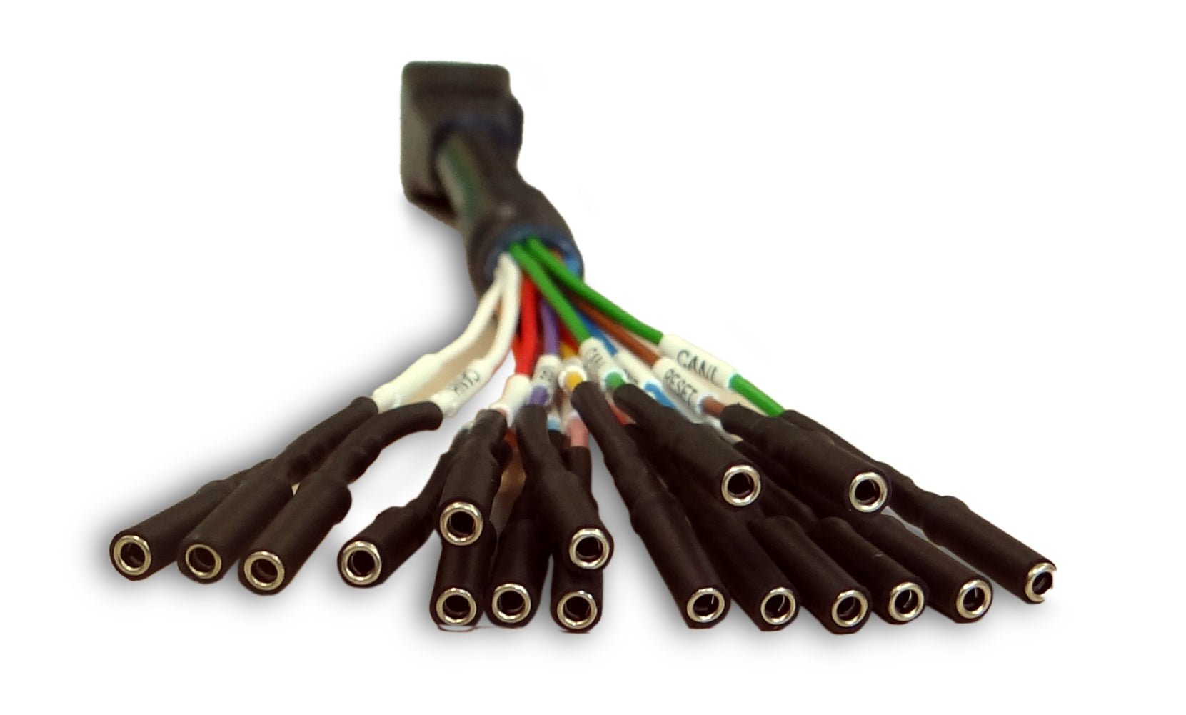 Cable Multi - Fili para conexión ECU - 144300KBNC - alientech - america